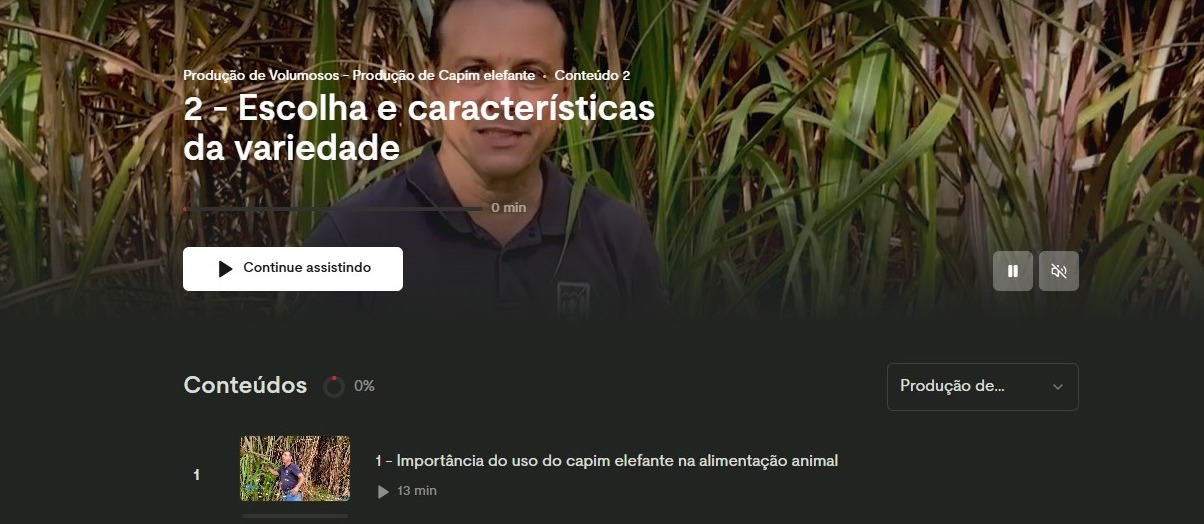 Área de membros do curso com uma aula sobre produção de capim elefante