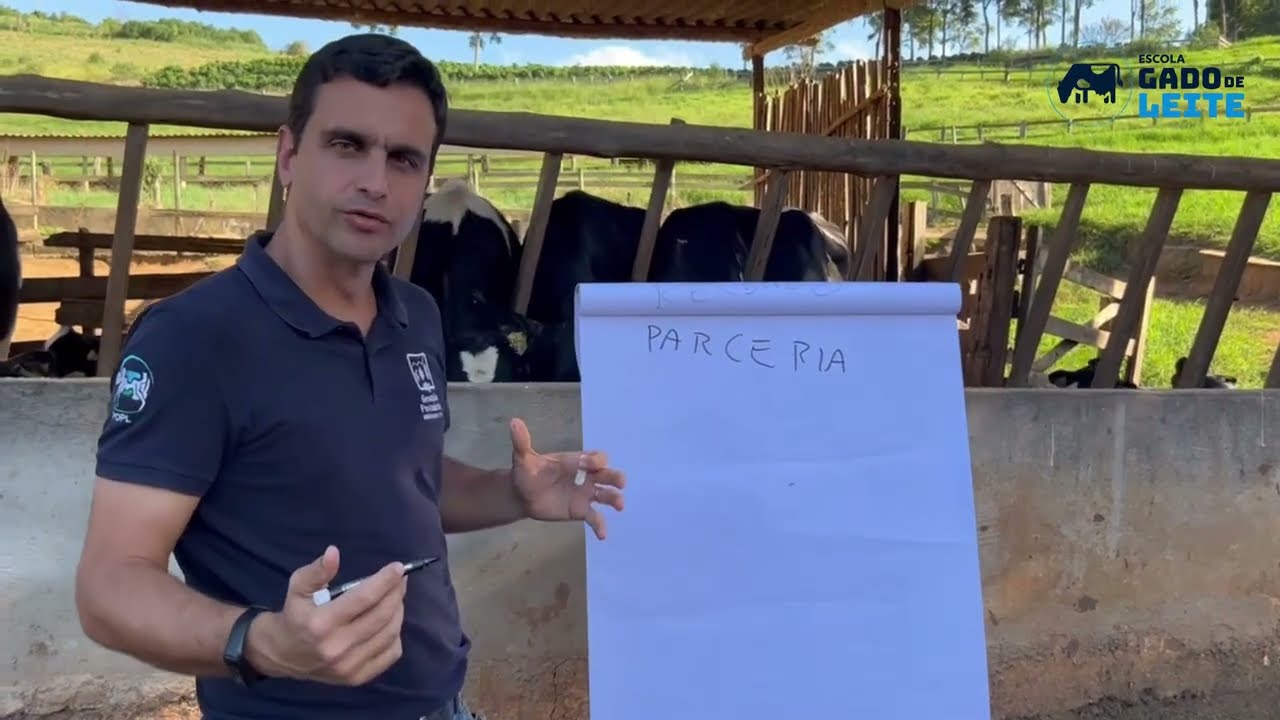 Na gestão