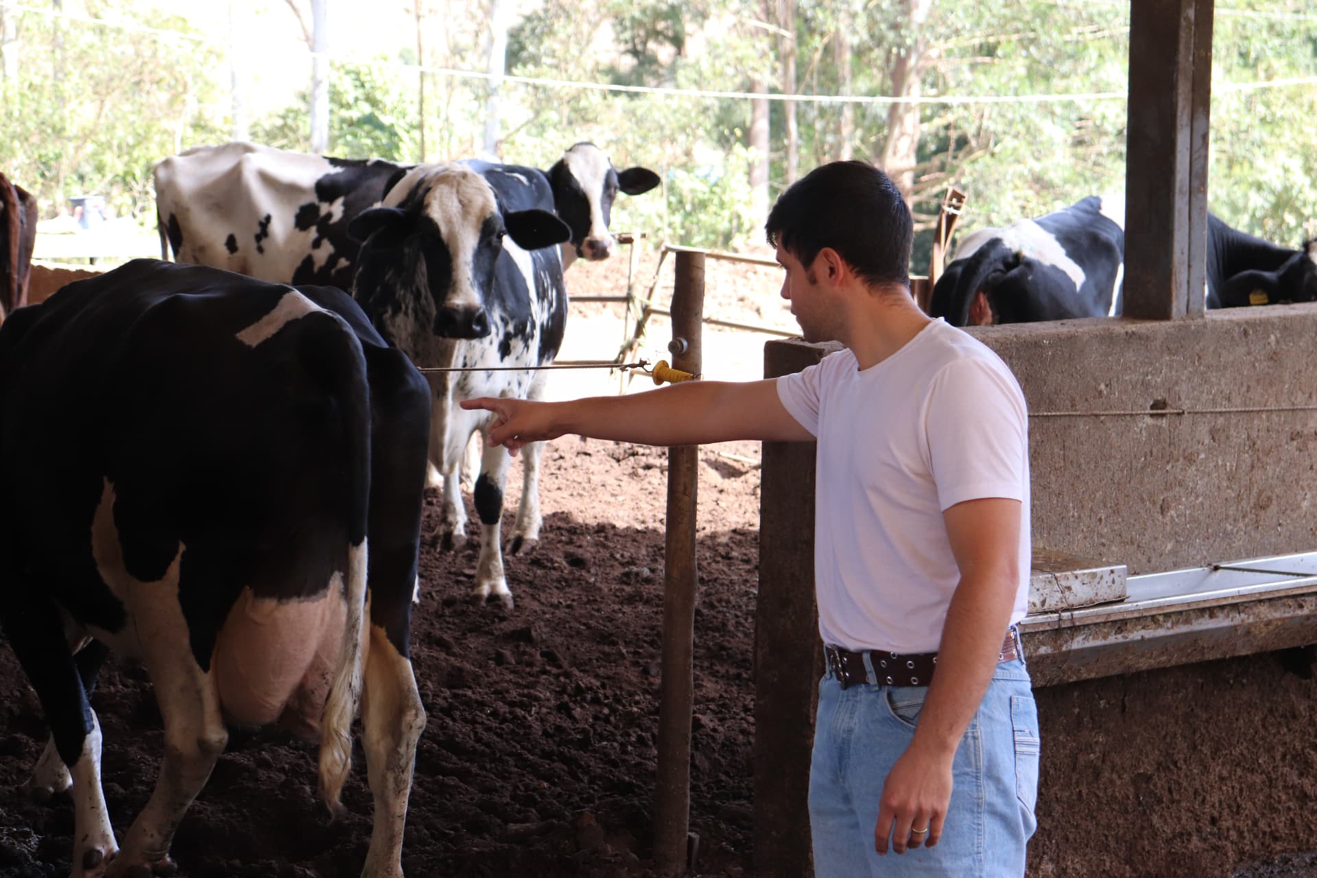 No campo